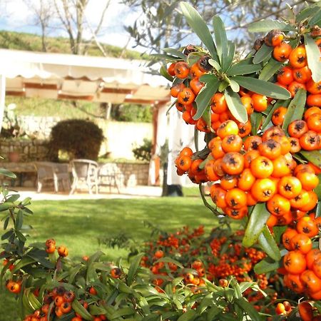 Hotel Agriturismo Le Valli Acuto Exterior foto