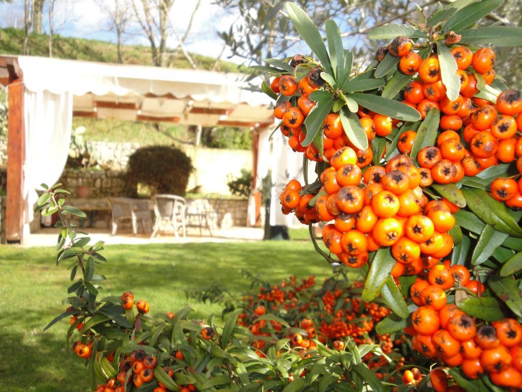 Hotel Agriturismo Le Valli Acuto Exterior foto