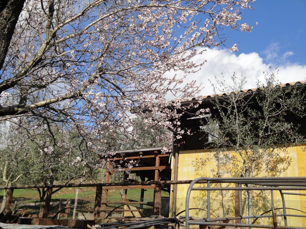 Hotel Agriturismo Le Valli Acuto Exterior foto